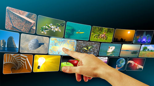 中国游泳健将在决赛中夺得金牌