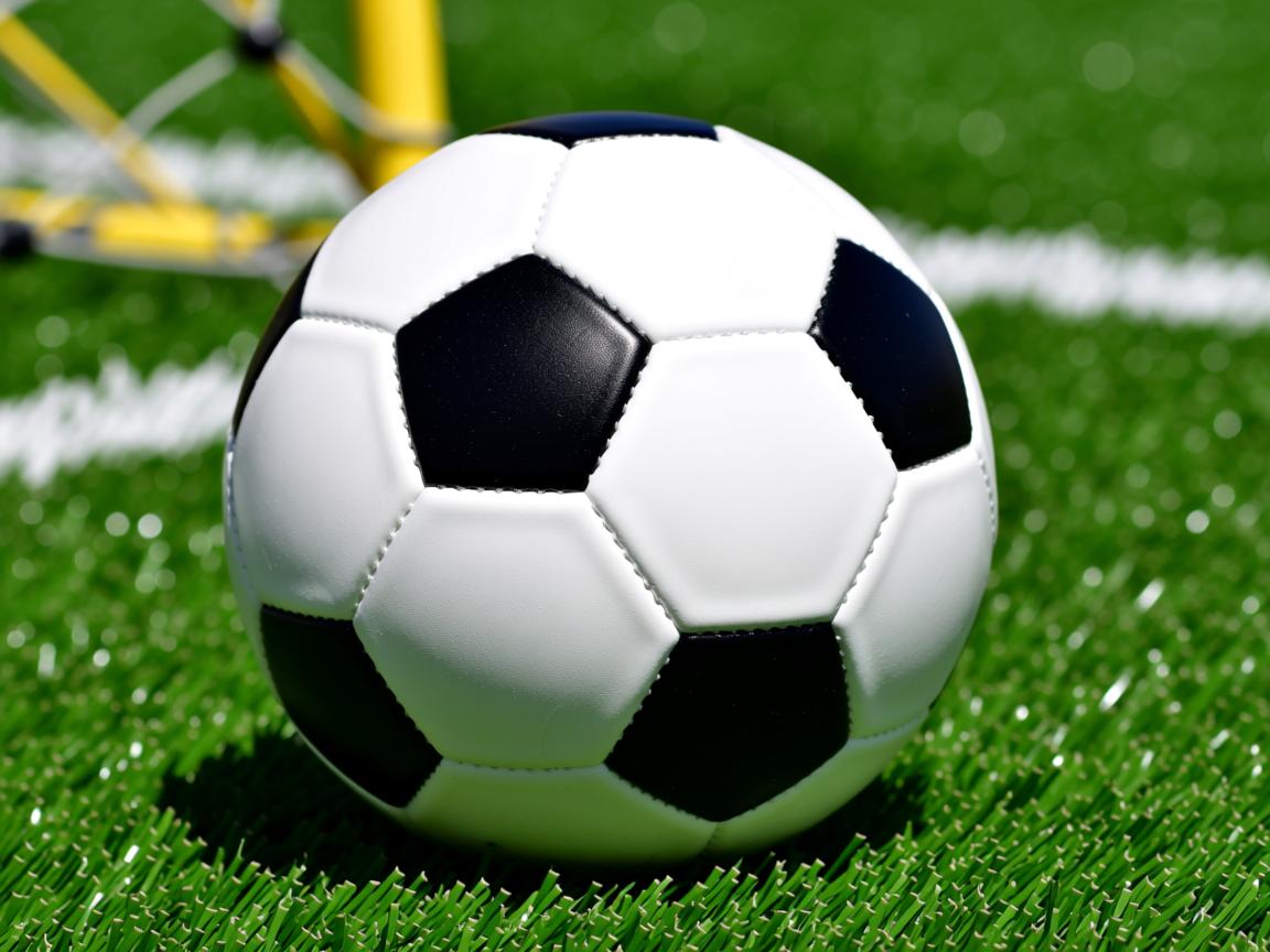 开云ky官网-“2025世界运动会：飞盘赛场再现三叉湖激情与飞扬”