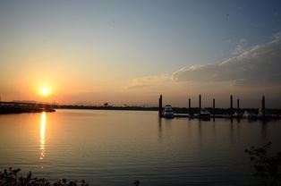 开云官方网-千帆竞发，轻艇马拉松点亮湖滨赛场，赛艇马拉松多少公里